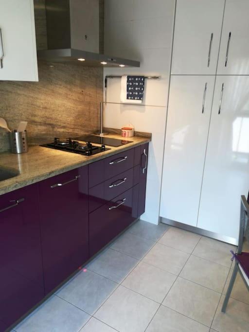 El Ferial Apartment *